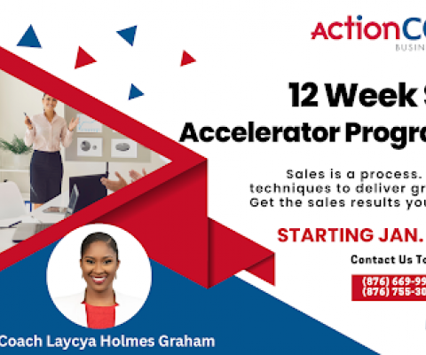 12-Week Sales Accelerator Programme