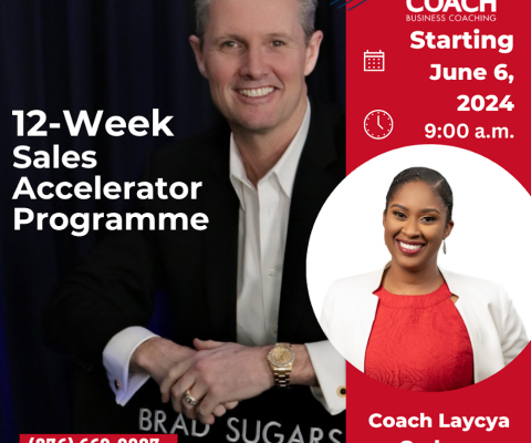 12-Week Sales Accelerator Programme